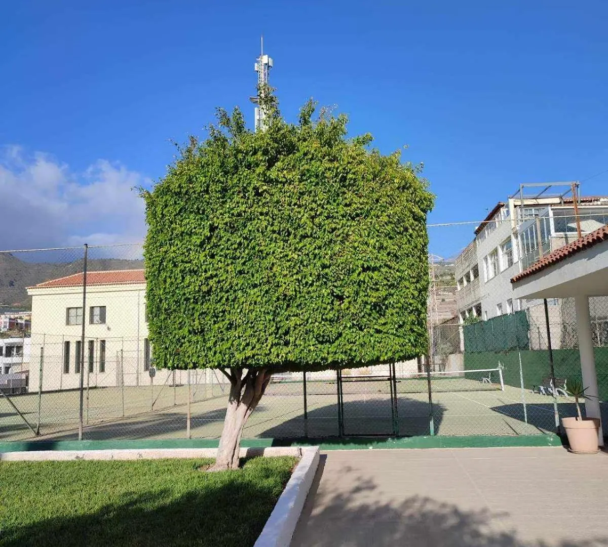 Cosy Arena Apartment Puerto de Santiago  Spain